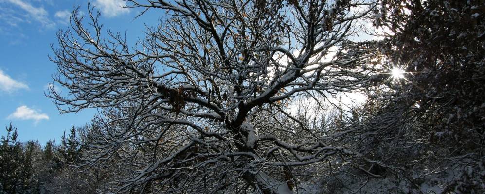 
            Фотография Торре дель Бьерсо