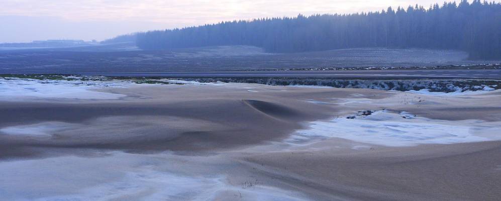 Фотография Пущи