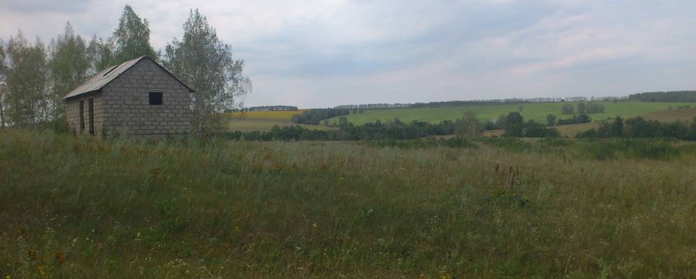 
            Фотография Малиновки