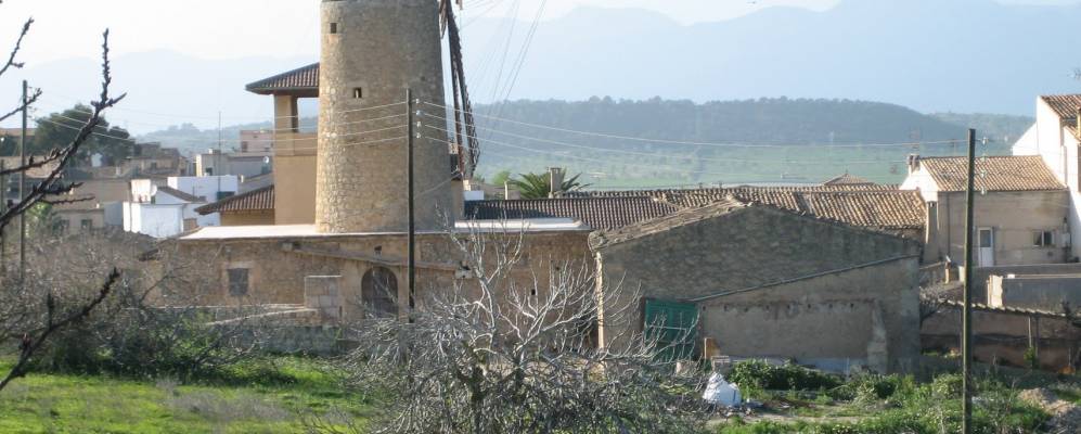 
            Фотография Мария де ла Салута