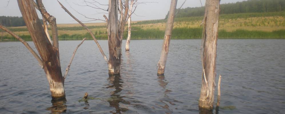 Фотография Имяново