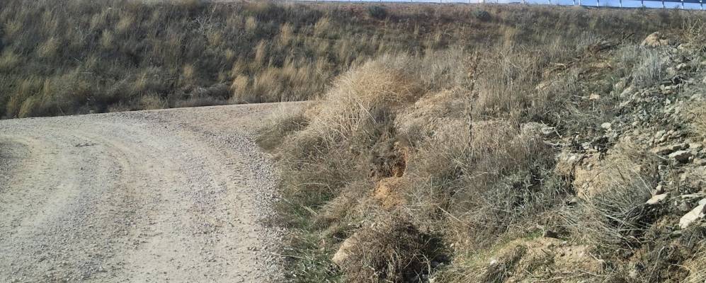 
            Фотография Санта-Крус-де-ла-Сарса