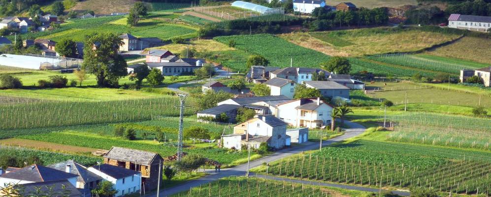 Фотография Лоренсана