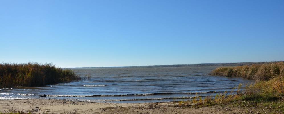 
            Фотография Тополиного