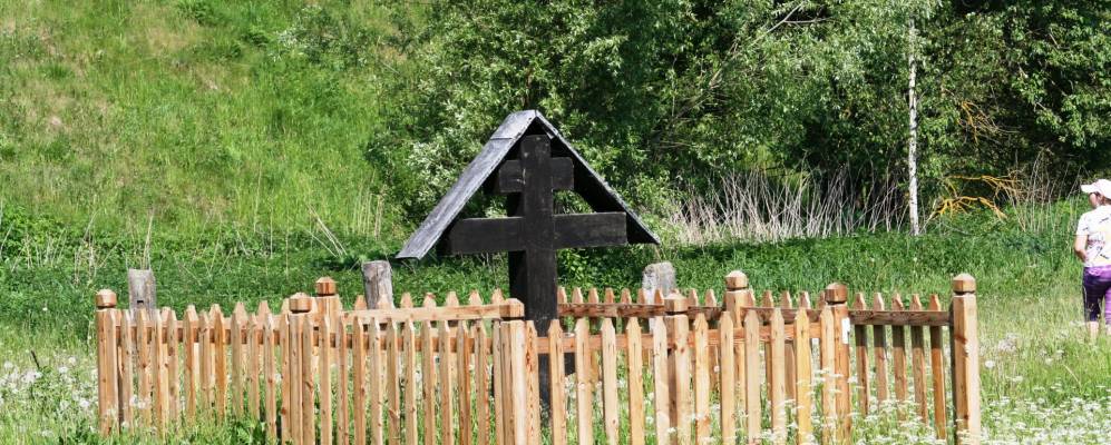 Фотография Дубового