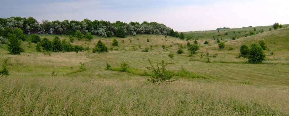 
            Фотография Зиново