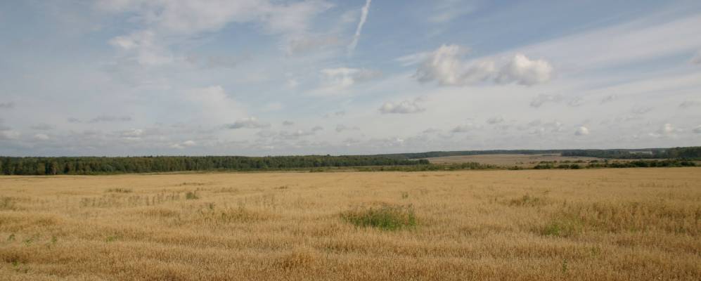 
            Фотография Александрово