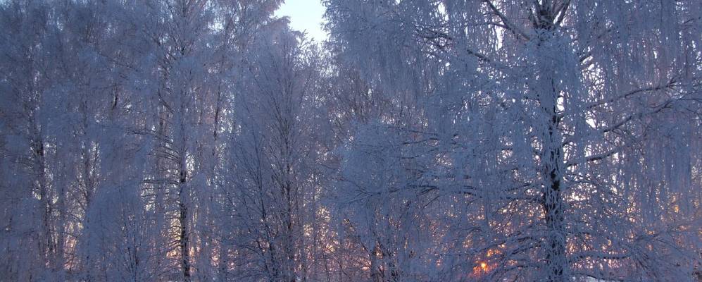 Фотография Кулигино