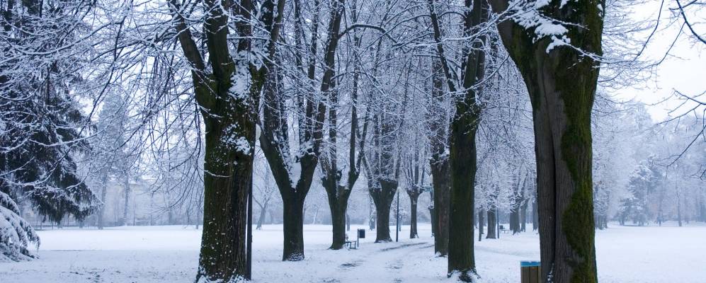 
            Фотография Понтенуре