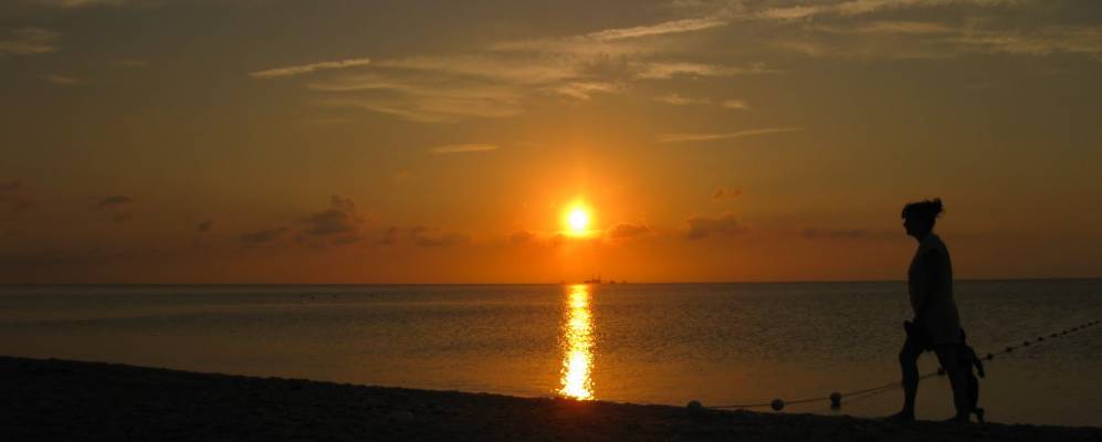 
            Фотография Джамеспорта