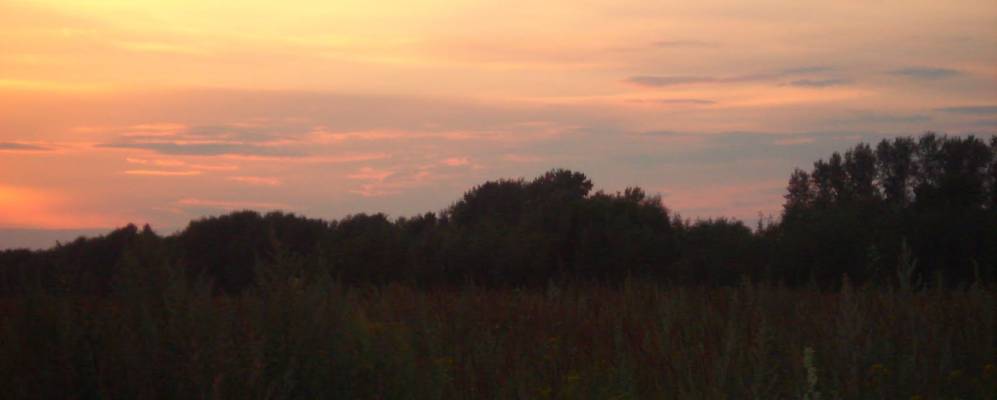 
            Фотография Алтыновки