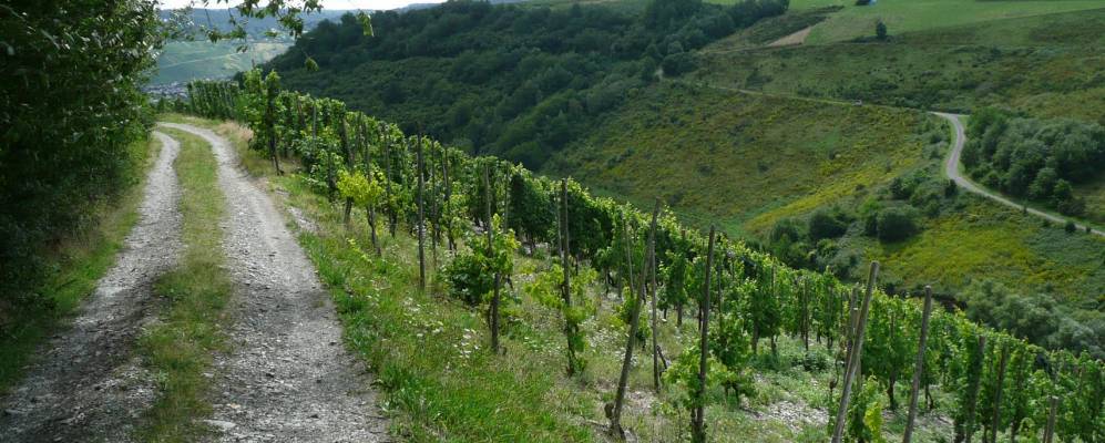 
            Фотография Ноймагена