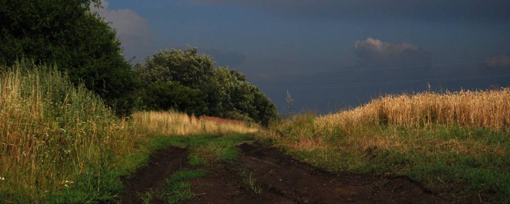 
            Фотография Чижикова