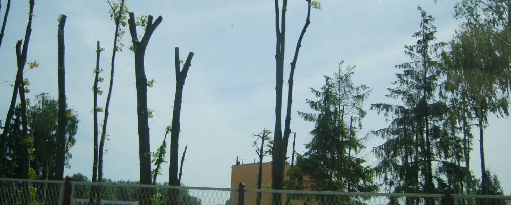 Фотография Плоньск