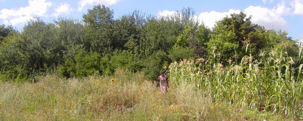 Фотография Вакуловки