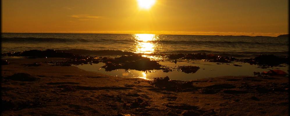 
            Фотография Данглоу