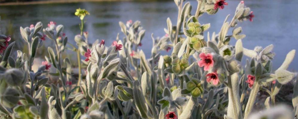 
            Фотография Эль Бурго де Эбро