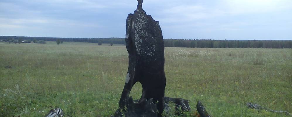 
            Фотография Пумора