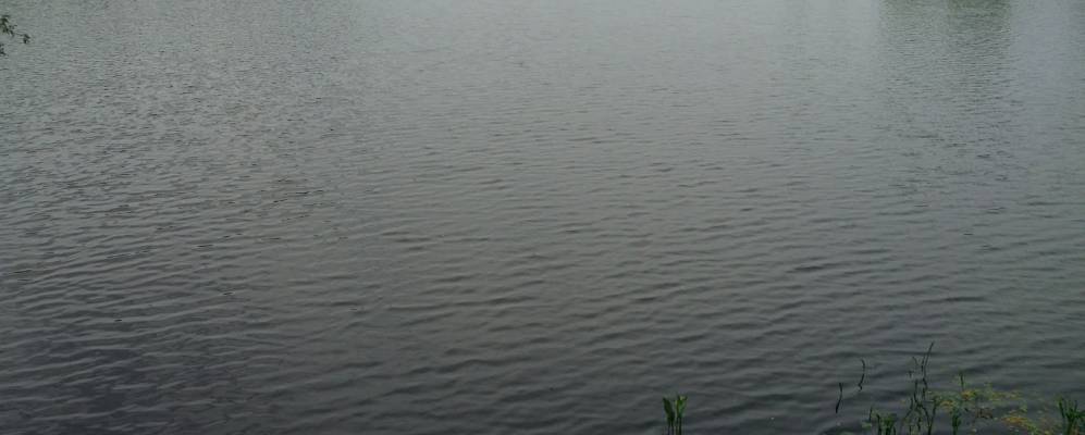 
            Фотография Зеленого