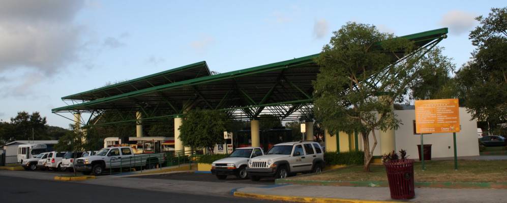 
            Фотография Кайеи