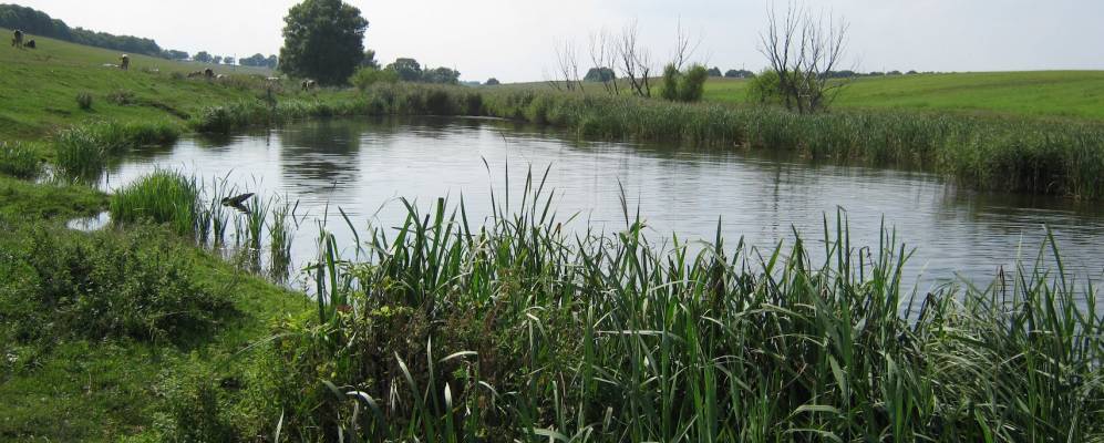 
            Фотография Раставицы