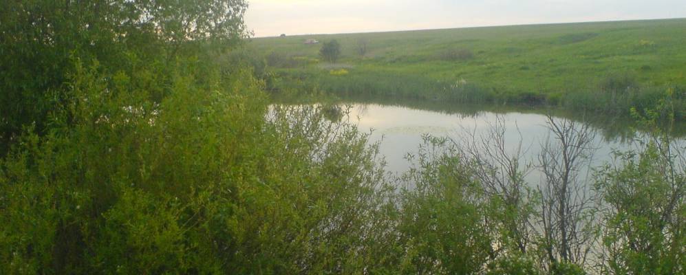 
            Фотография Дубовецкого