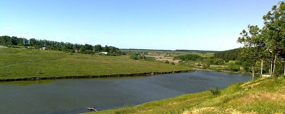 
            Фотография Павловского