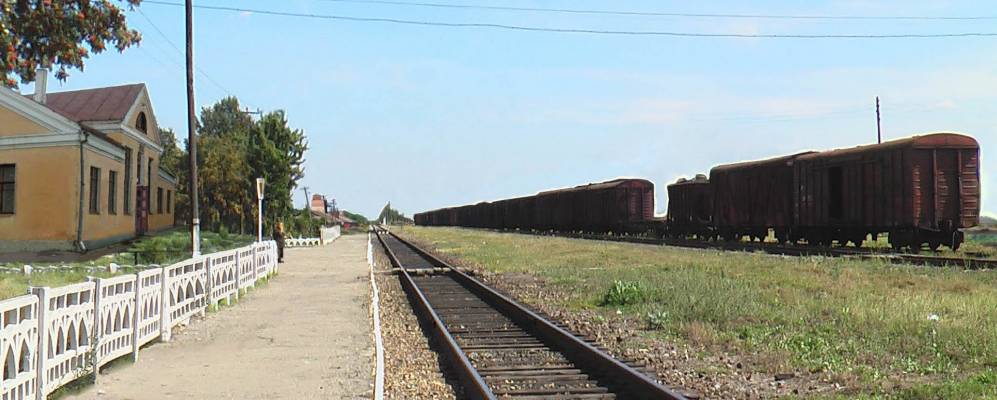 
            Фотография Кротовки