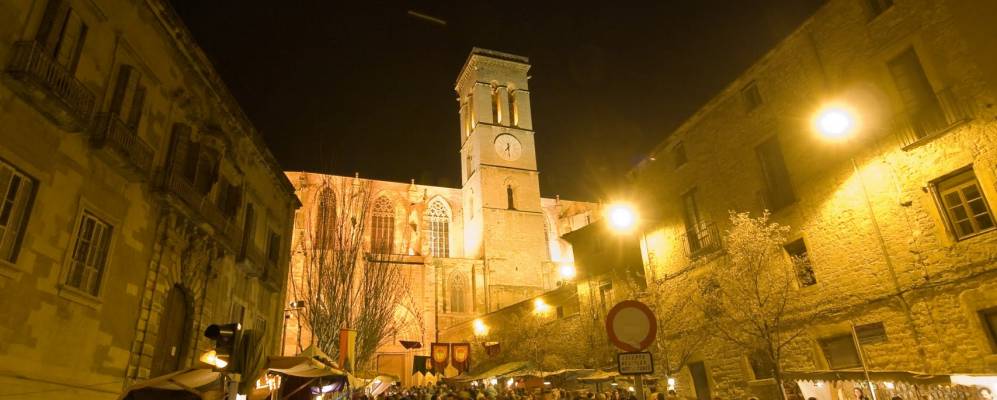 
            Фотография Манресы