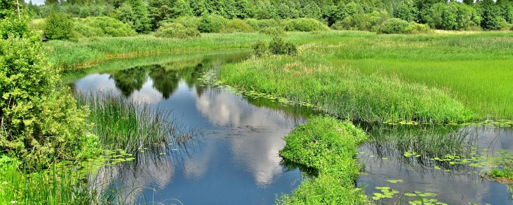 
            Фотография Турки-Перевоза