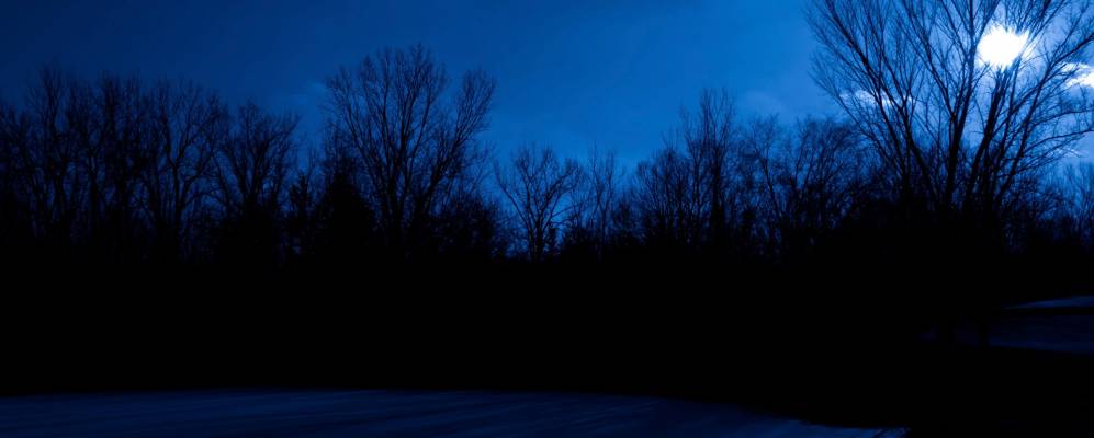 
            Фотография Карлайла