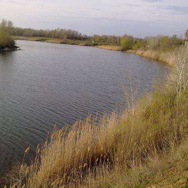 Подстепное