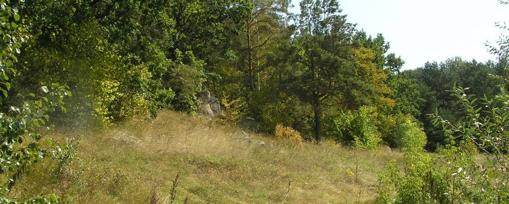 
            Фотография Ходурки