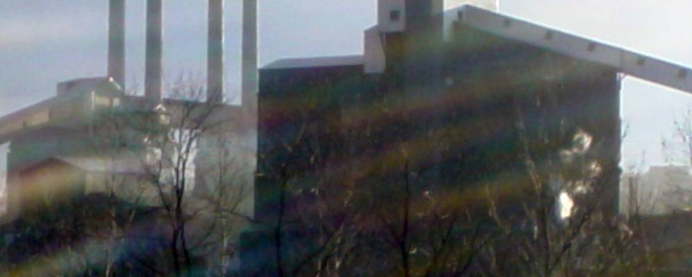 
            Фотография Либерти