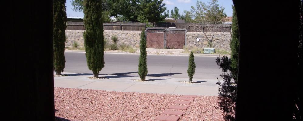 
            Фотография Хорайзон-Сити