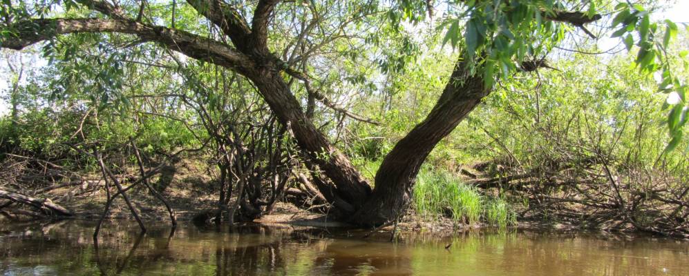Фотография Заполья
