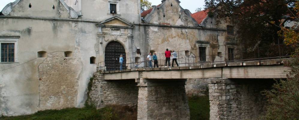 
            Фотография Свиржа