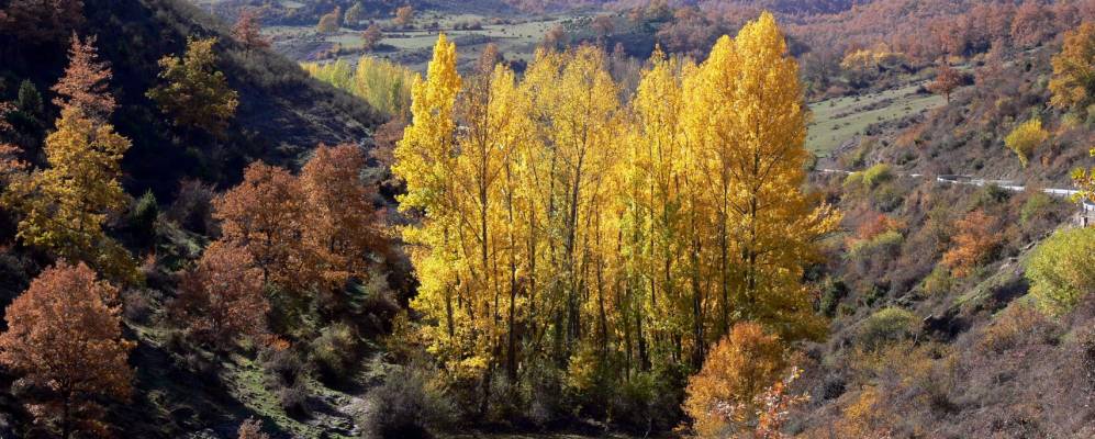
            Фотография Лагуна-де-Камерос