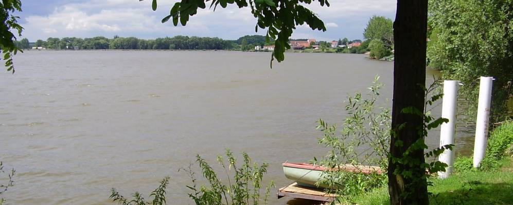 
            Фотография Пасолавки