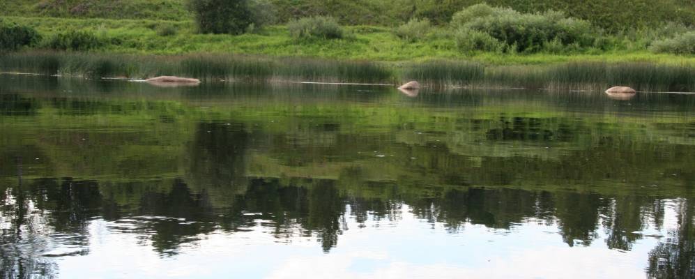 
            Фотография Заборья