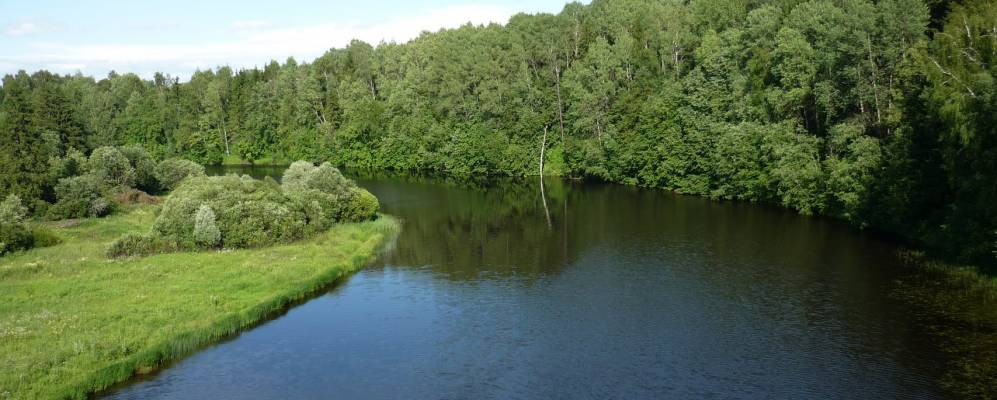 
            Фотография Станино