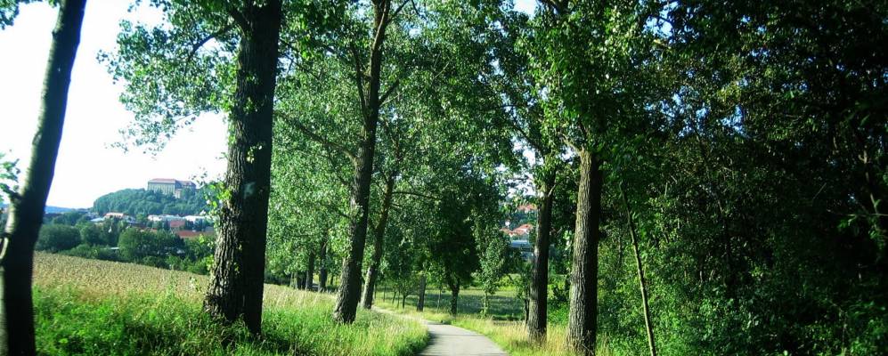 
            Фотография Фойхтвангена