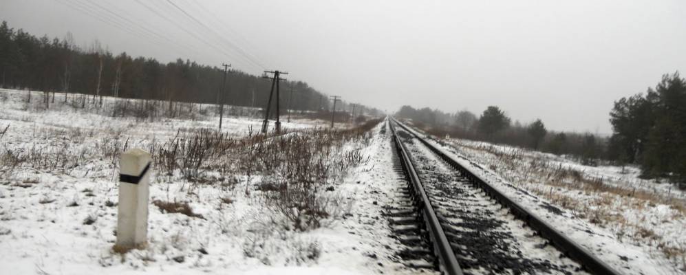 
            Фотография Белого