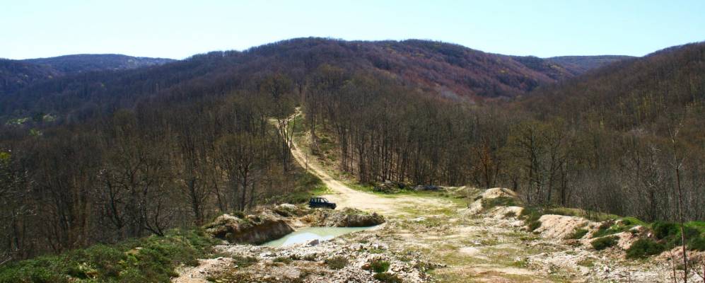 
            Фотография Фазаново