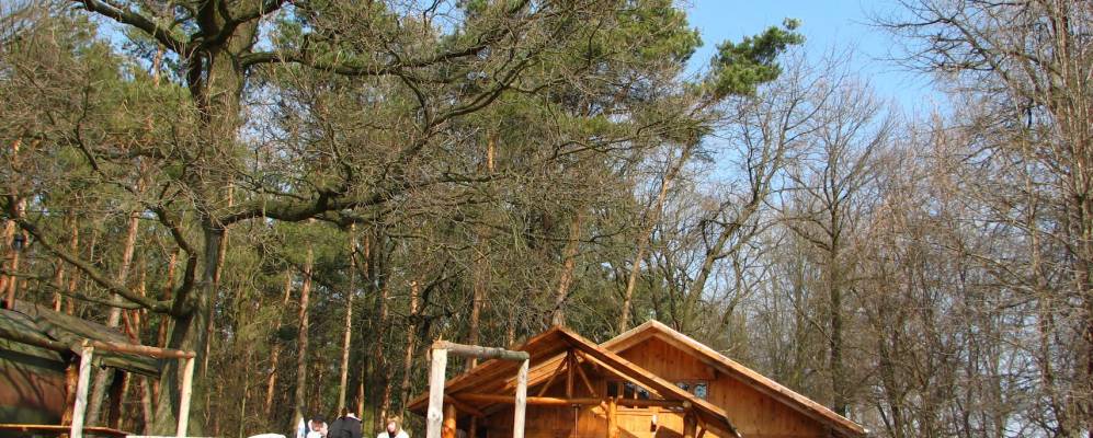 
            Фотография Комарова