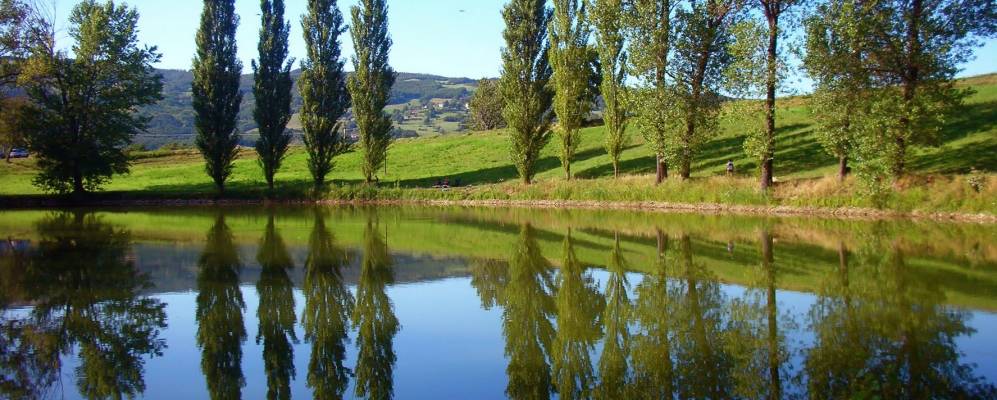 
            Фотография Варси