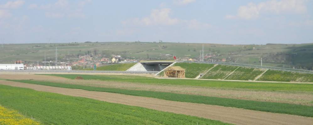 
            Фотография Шелленберга