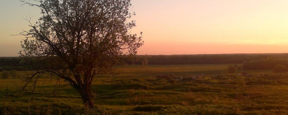 
            Фотография Марково