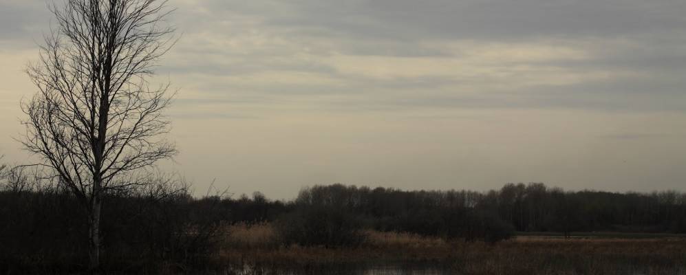 
            Фотография Пальной