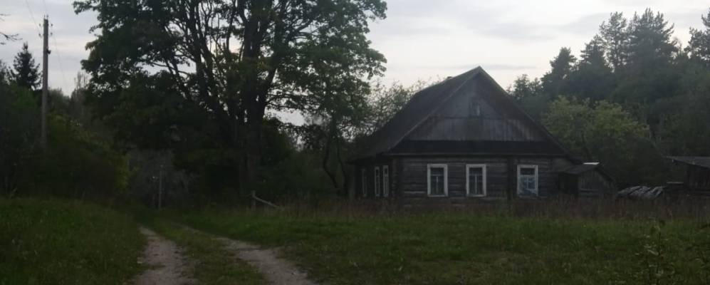 
            Фотография Шумихи